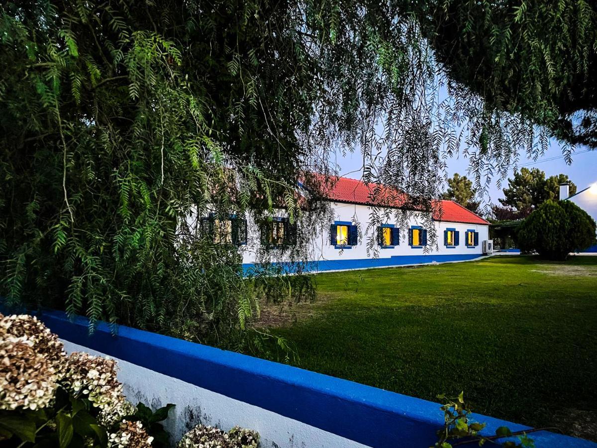 Quinta Do Cutato - Beatriz Guest House - Sotao Santo Estevao  Zewnętrze zdjęcie